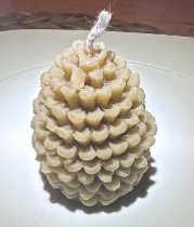 Obrázek1